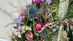 Bloomd