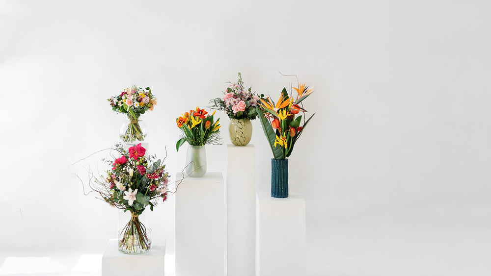 Bloomd