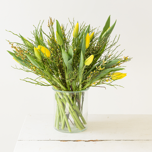 Bloomd
