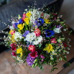 Bloomd