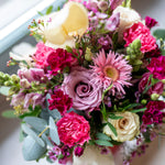 Bloomd
