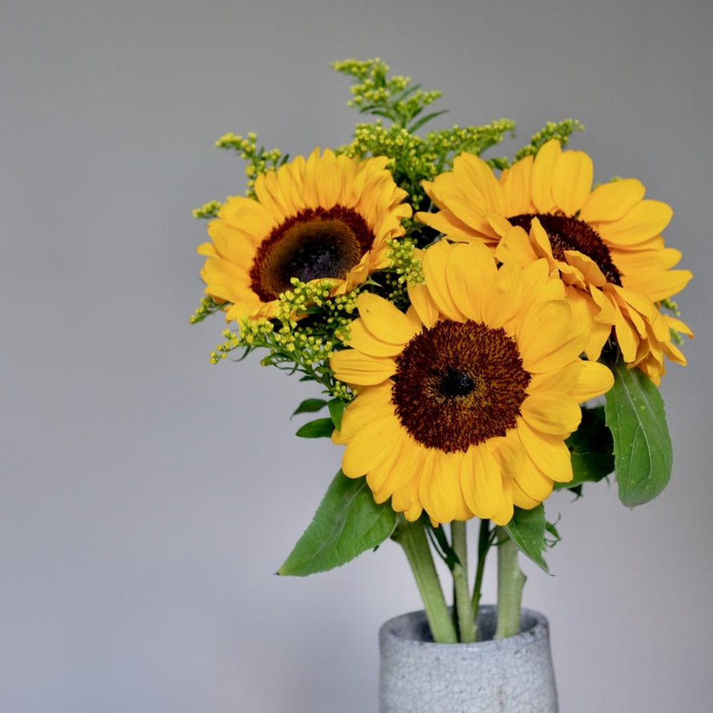 Bloomd