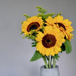 Bloomd