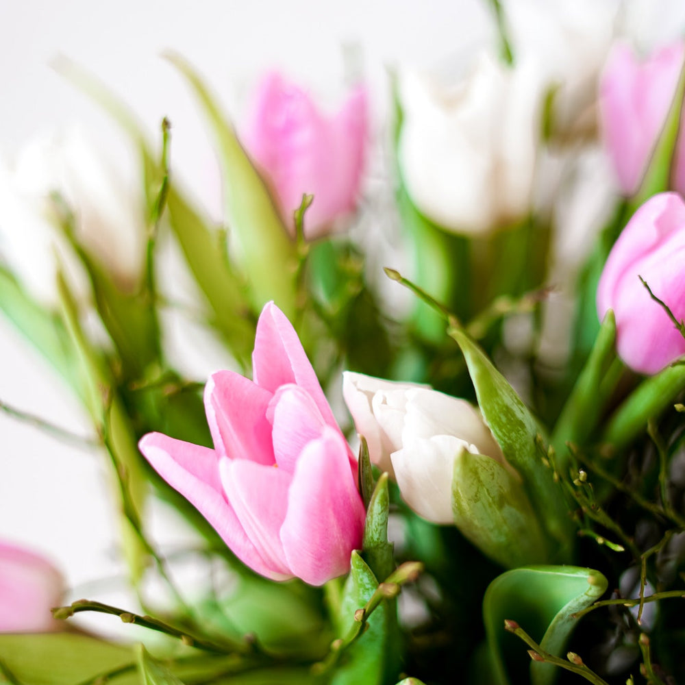 Bloomd