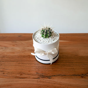 Bloomd