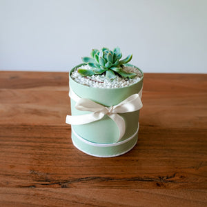 Bloomd