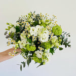 Bloomd