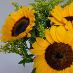 Bloomd